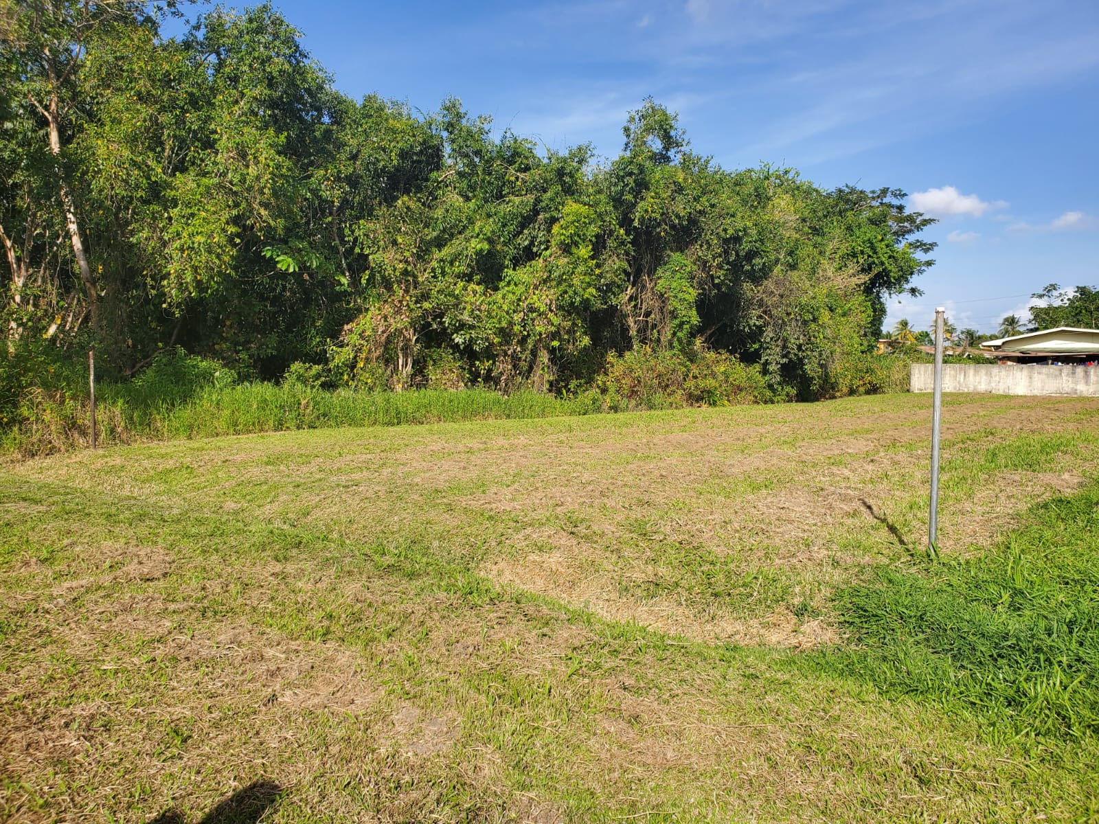 (Land For Sale) Foster Road, Cunupia.