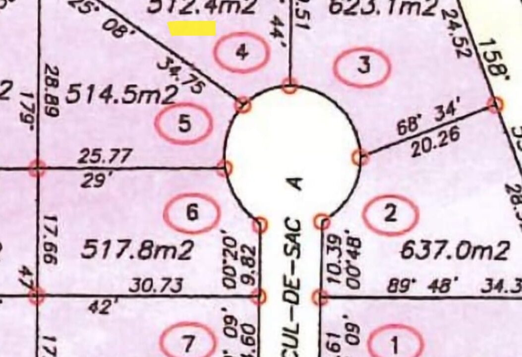 13482991_866413416797094_2543772649798649990_o