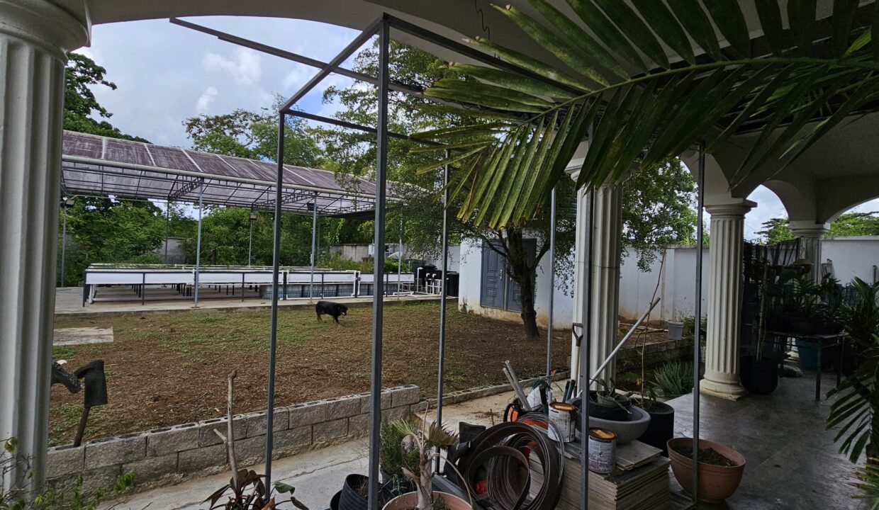 WhatsApp Image 2026-01-21 at 3.23.17 PM (2)